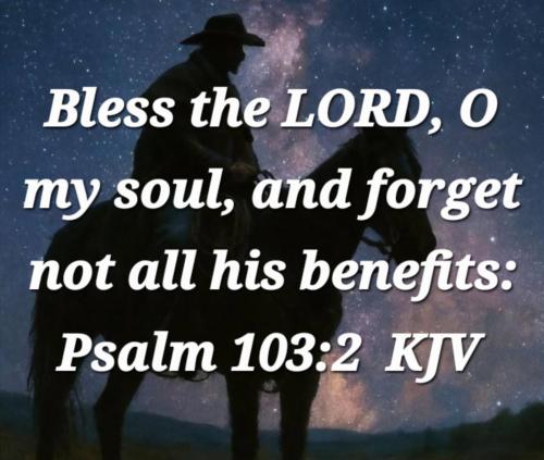 19976213-abbb-4eb4-8f1f-4dc50d807466