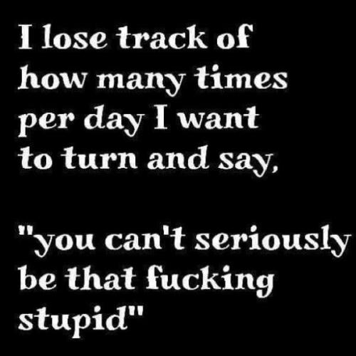 057f8ee0799cf86a895840b679c2fb24