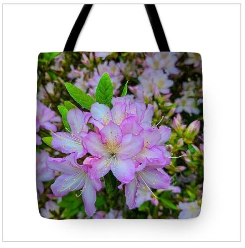 Screenshot_20260326_135138_Brave