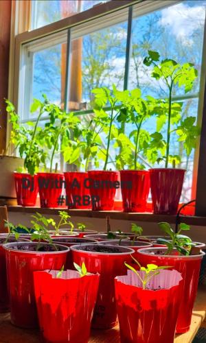 Screenshot_20260304_080740_Gallery