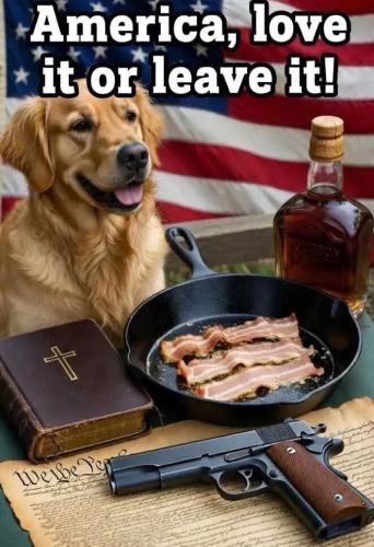 17724488503028119231298592885564_1454155502377570