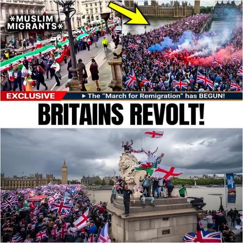 d6c636b6-ba1d-4d07-a7f1-b9ce3d1ab6ae