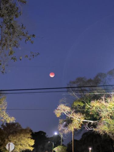 EAB7FF26-9E55-47A8-ABE5-0494A624DF87