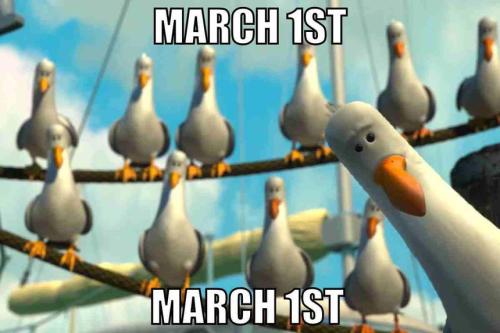 march-1st-meme