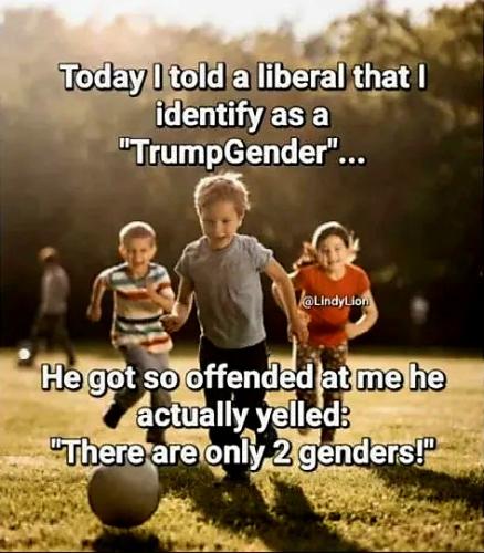 17719319598556562574254556595773_1132304819211806