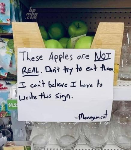 main-qimg-d47720e2474429a15b80de7ba63958df