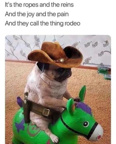 they-call-it-rodeo