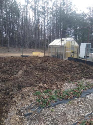 IMG_20260311_133140148