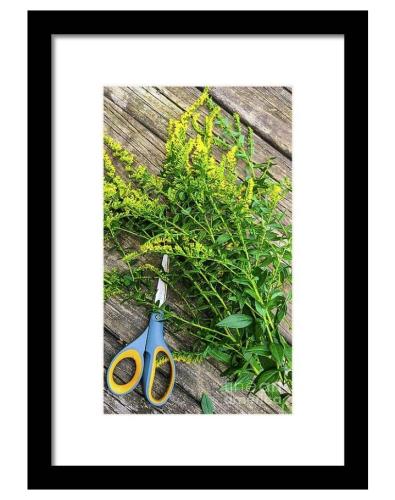 Screenshot_20260312_111406_Brave