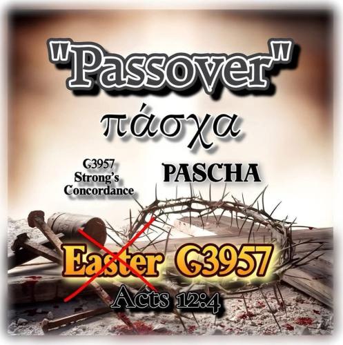 E81205EB-BA91-46FB-AA48-B415AA545471