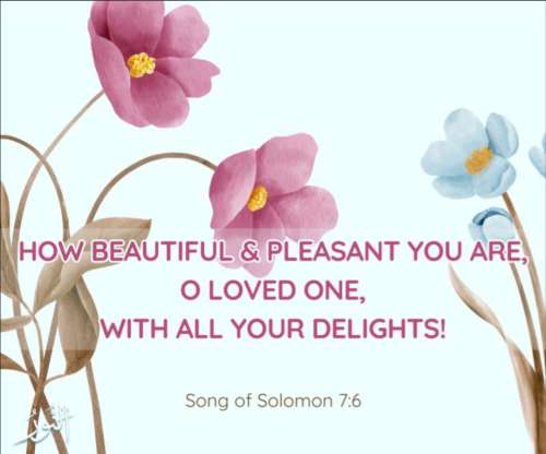 Screenshot_20260326-112534-520