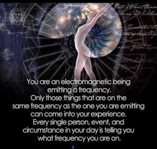 ,      ,             BdX7M1JO