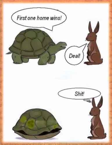 e1fcb0e5-28c0-4271-9523-b5a3fa3006ff