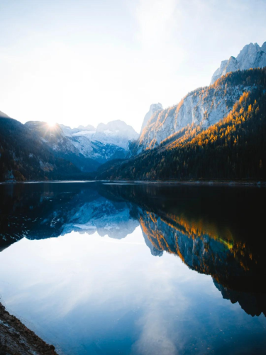 RDT_20260301_1547067995550947208051412