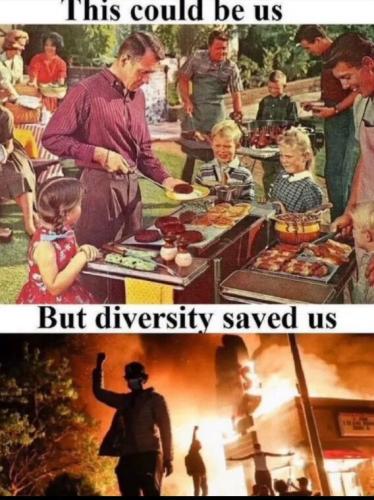 diversity-saved-us
