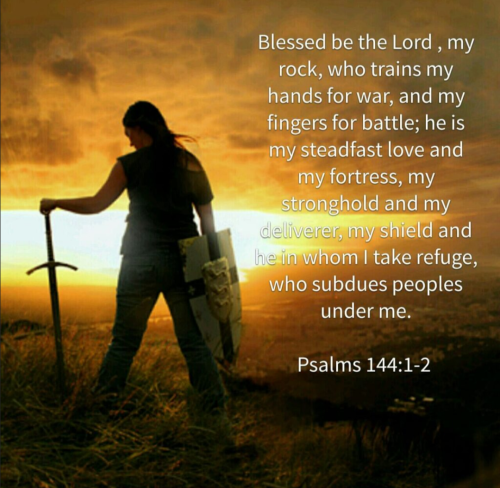 Screenshot_20260308-130216-306