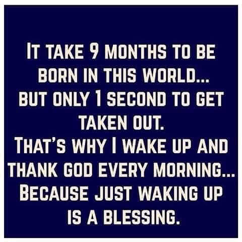 599220753_25903790025894880_5590081408780032779_n