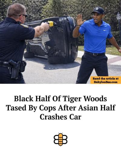 661503999_1485027066743541_3989160773472557356_n