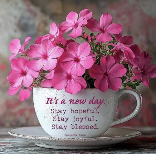 Resized_9406968f407529268015f51662102a4f