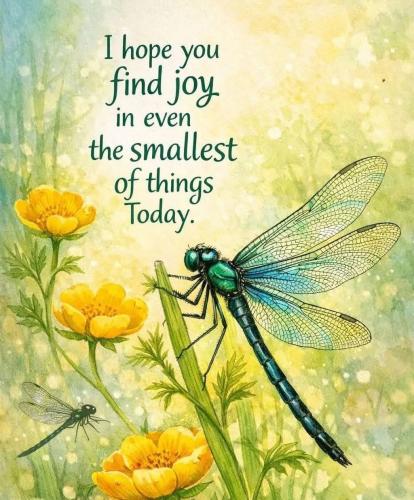 656953187_122206492262310593_8216530074214479374_n