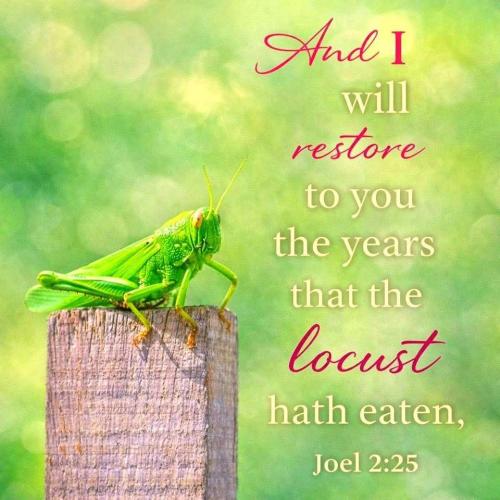 FB_IMG_1773077902056