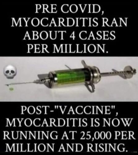 Screenshot_20260315-145953_Ecosia