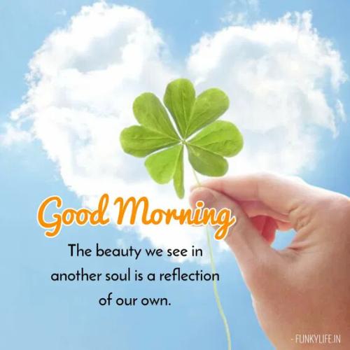 e65e0dfa3e8489d463eafa99cce71941