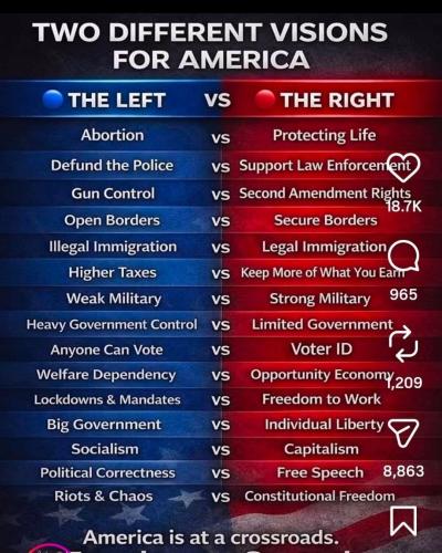 a vision dems f