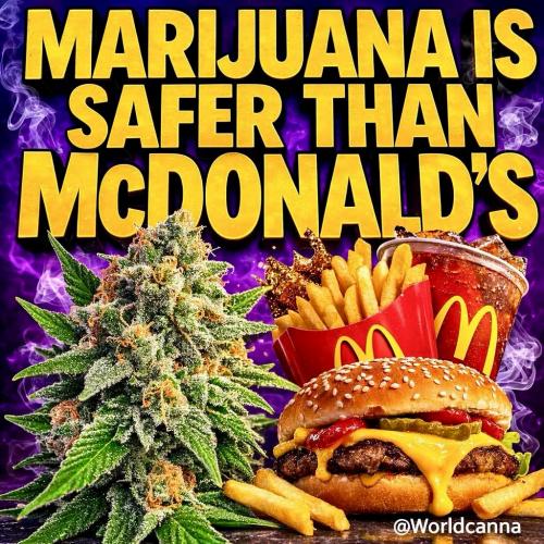 65e16476-9452-4cd7-b656-55b63a034af4