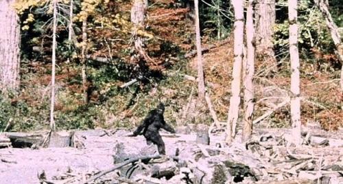 Bigfoot