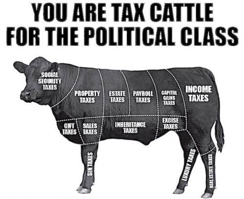 IMG_20260323_154845_949