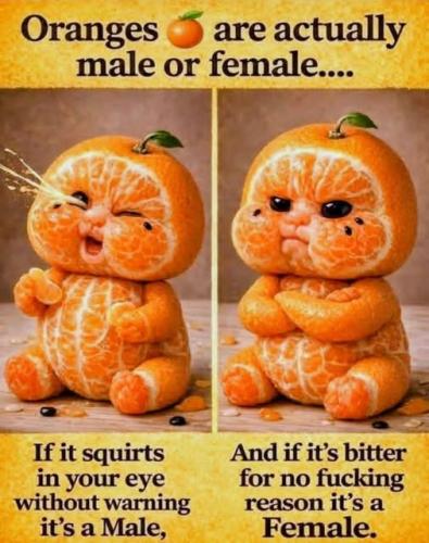 651044504_2095610184347389_5973230768478115014_n