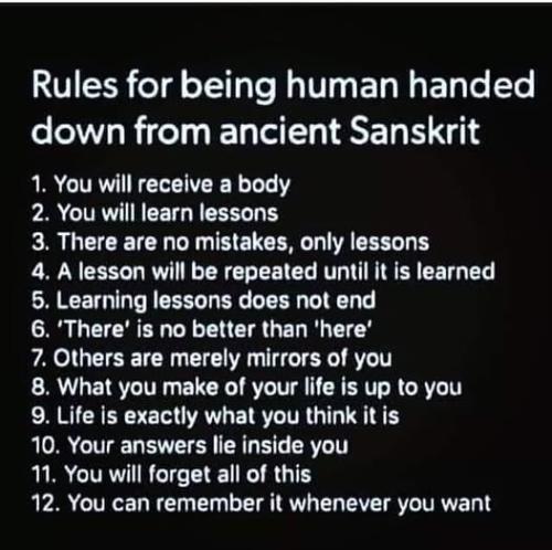 ,         418235313_73391130547