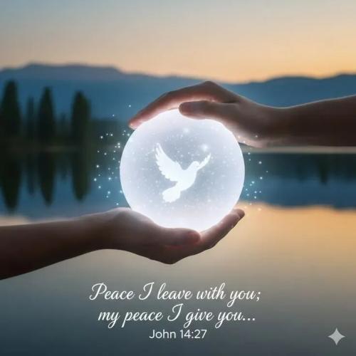 TESTHUB_photos_users_KPBY8Tc46ldqLjWXf6bqxqOW3AR2_-Omj08YIl2YiaYBJ-E6P_img_rsz__1100x1100