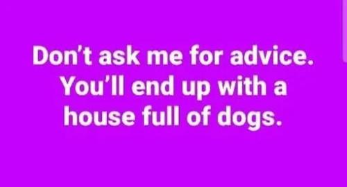 don't-ask-for-advice