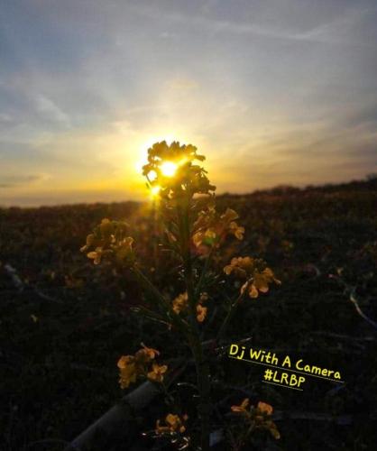 Screenshot_20260318_185028_Gallery