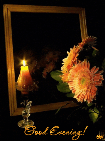 caa9e285-1b58-4569-8517-27671ac4fe7f