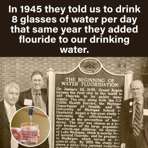 a32b30d9-48c4-41c0-829c-e145885c4e16