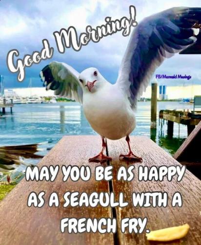 5b79ae7ee5a5f3a24d758f7f53add491