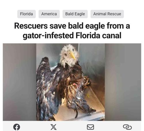 Screenshot_20260330_111217_Samsung Internet