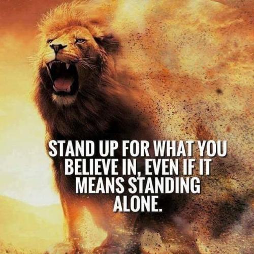 IMG_20260308_200341_924