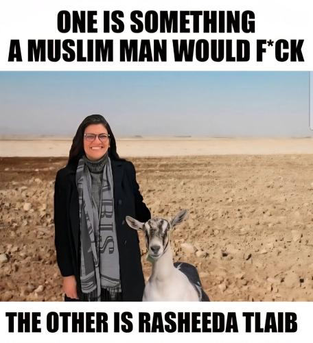 one-something-moslem-would-screw