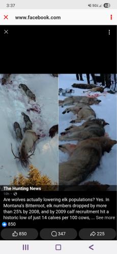 Screenshot_20260307_153729_Wimkin Free Speech Social Media