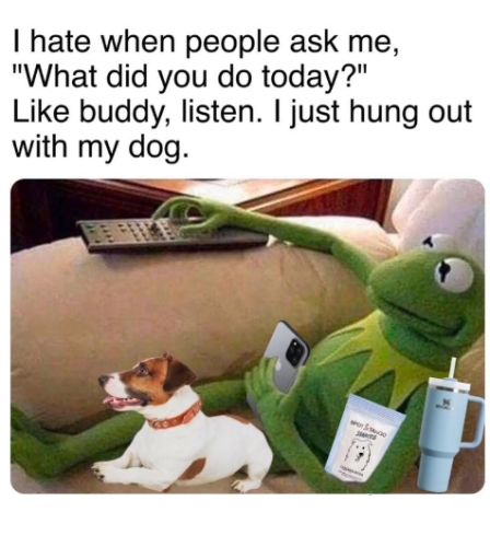 hate-people-ask-did-do-today-like-buddy-listen-just-hung-out-with-my-dog-spoago