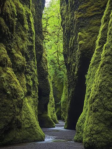 494336025_670380405637088_4031515665031012381_n