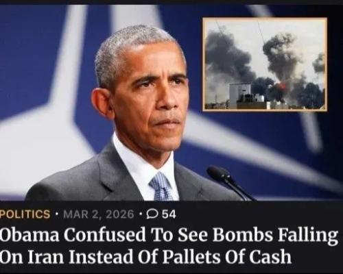 1772534950944745300810365369635_1504251095851481