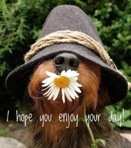 bae44653b11bb10e1a4ace0f3cca0ad5