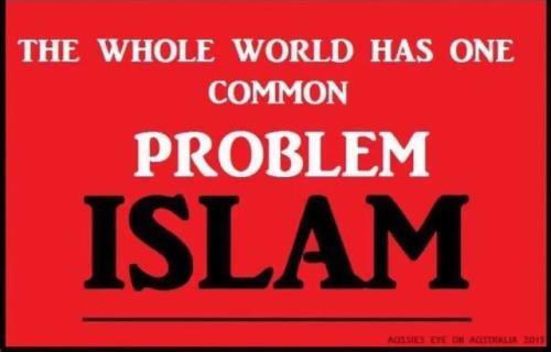 17742608939244649905283363969221_514090516759668