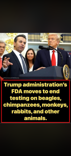 14:59:21 GMT-0400 (Eastern Daylight Time).image