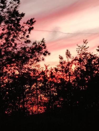 IMG_20260303_180104056_HDR